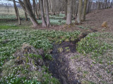 20260426_bleduliště